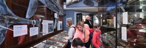 The New Geology Gallery